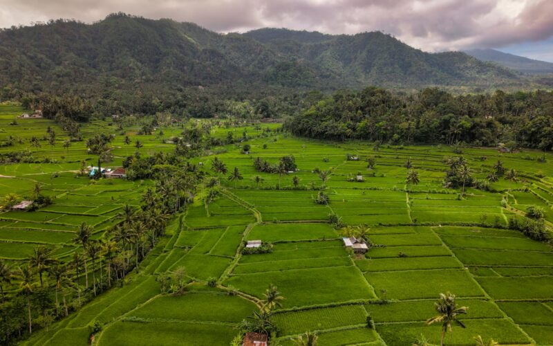Best Hotels in Ubud, Bali: Complete Guide 2026