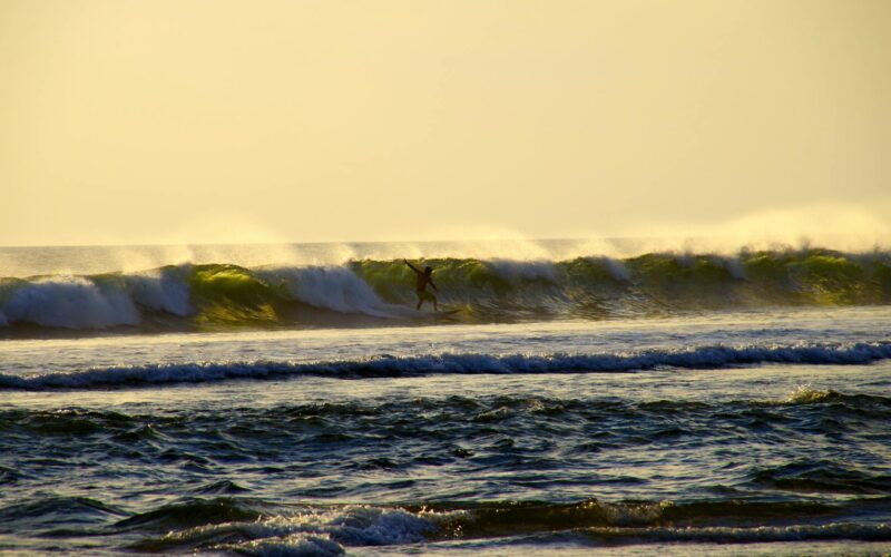 Best Hotels in Canggu, Bali: Complete Guide 2026