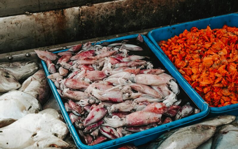 Best Hotels in Jimbaran, Bali: Complete Guide 2026