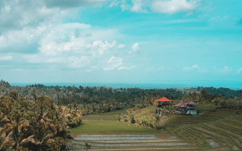 Best Hotels in Ubud, Bali: Complete Guide 2026