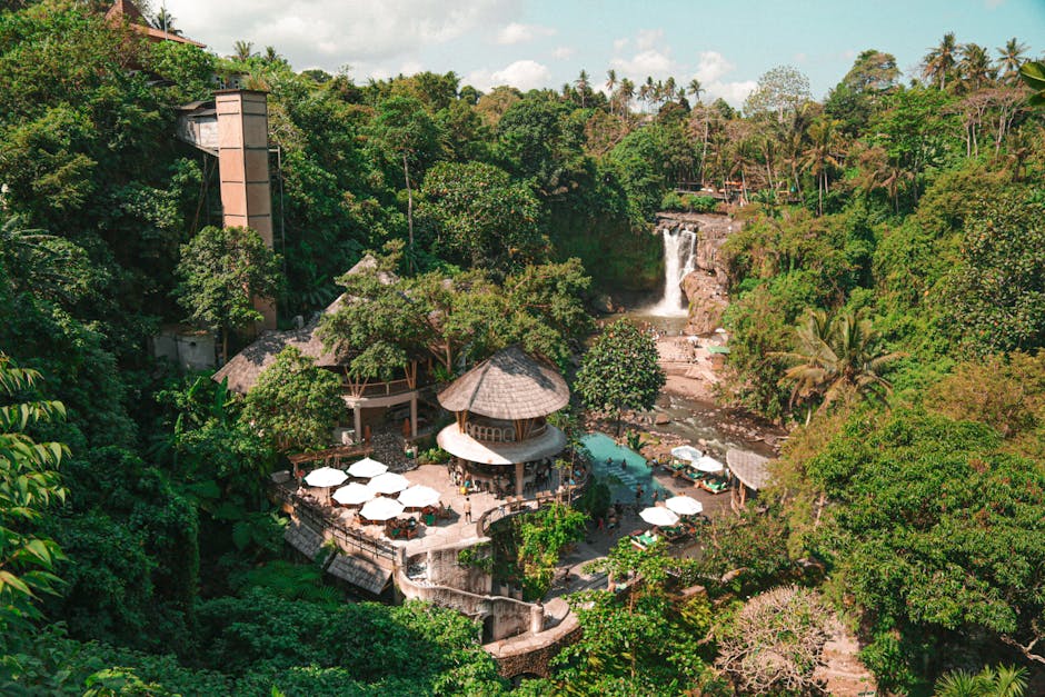 Ubud Hotels Guide