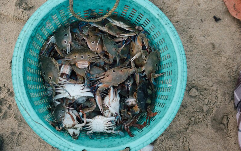 Best Hotels in Jimbaran, Bali: Complete Guide 2026