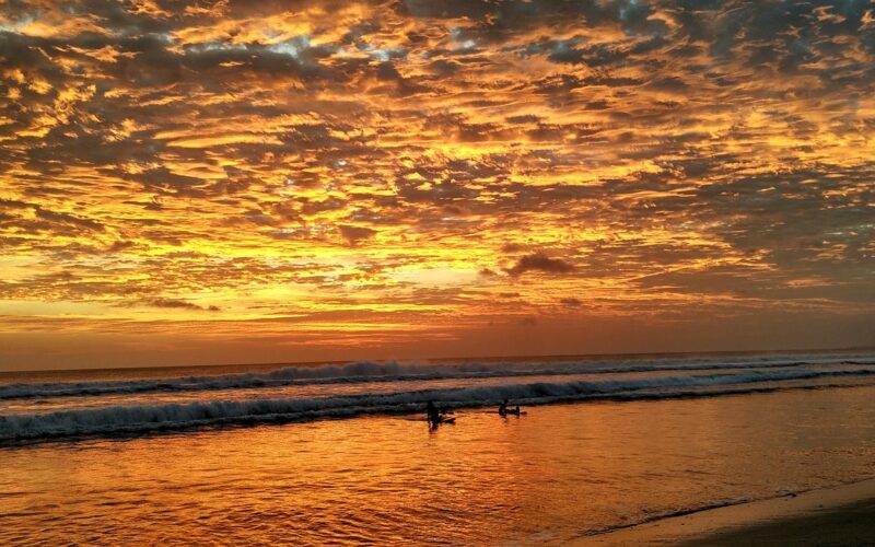 Best Hotels in Canggu, Bali: Complete Guide 2026